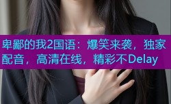 卑鄙的我2国语：爆笑来袭，独家配音，高清在线，精彩不Delay