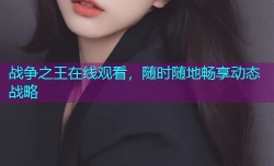 战争之王在线观看，随时随地畅享动态战略