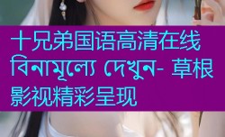 十兄弟国语高清在线 বিনামূল্যে দেখুন- 草根影视精彩呈现