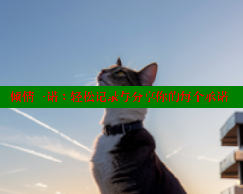 倾情一诺：轻松记录与分享你的每个承诺 欲漫涩平台 第1张