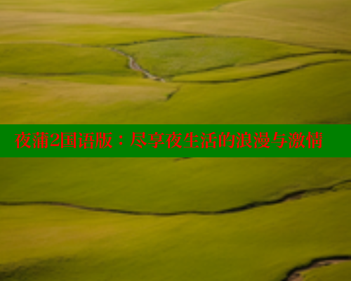 夜蒲2国语版：尽享夜生活的浪漫与激情 欲漫涩官网 第1张