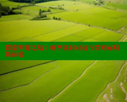 探索世界之战：畅享实时对战与策略布局新体验