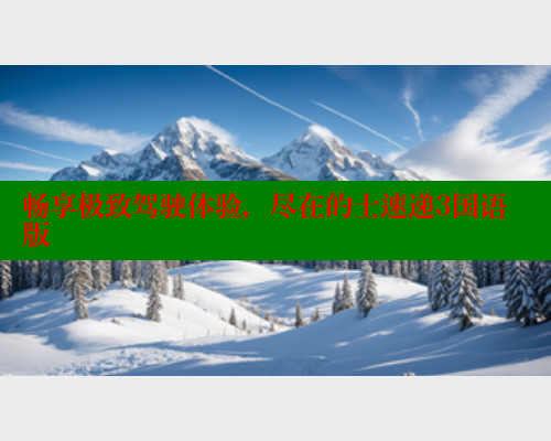畅享极致驾驶体验，尽在的士速递3国语版