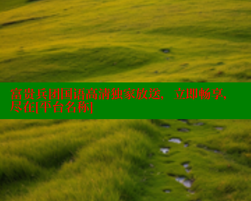 富贵兵团国语高清独家放送，立即畅享，尽在[平台名称]
