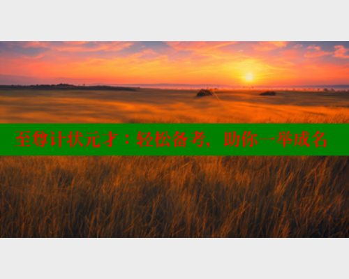 至尊计状元才：轻松备考，助你一举成名 欲漫涩官网 第1张