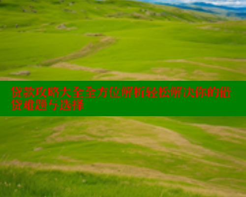 贷款攻略大全全方位解析轻松解决你的借贷难题与选择 欲漫涩网站 第1张