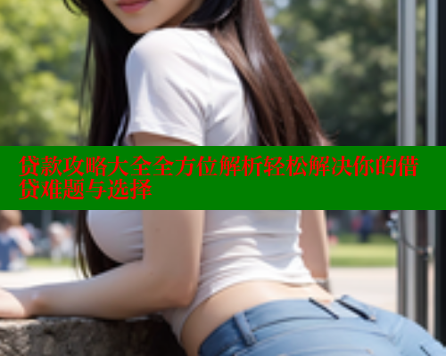 贷款攻略大全全方位解析轻松解决你的借贷难题与选择