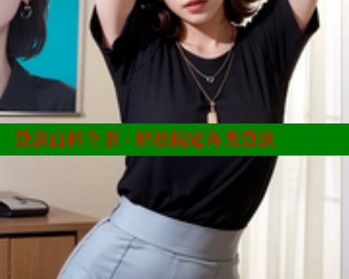 贷款百科全书 - 轻松搞定各类贷款 欲漫涩平台 第1张