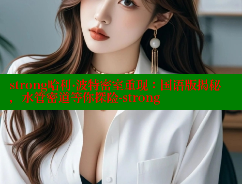 strong哈利·波特密室重现：国语版揭秘，水管密道等你探险-strong 欲漫涩网站 第1张